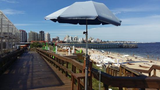 OVO Nightclub & Dayclub